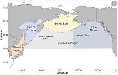 Meta-Analysis of Salmon Trophic Ecology Reveals Spatial and Interspecies Dynamics Across the North Pacific Ocean